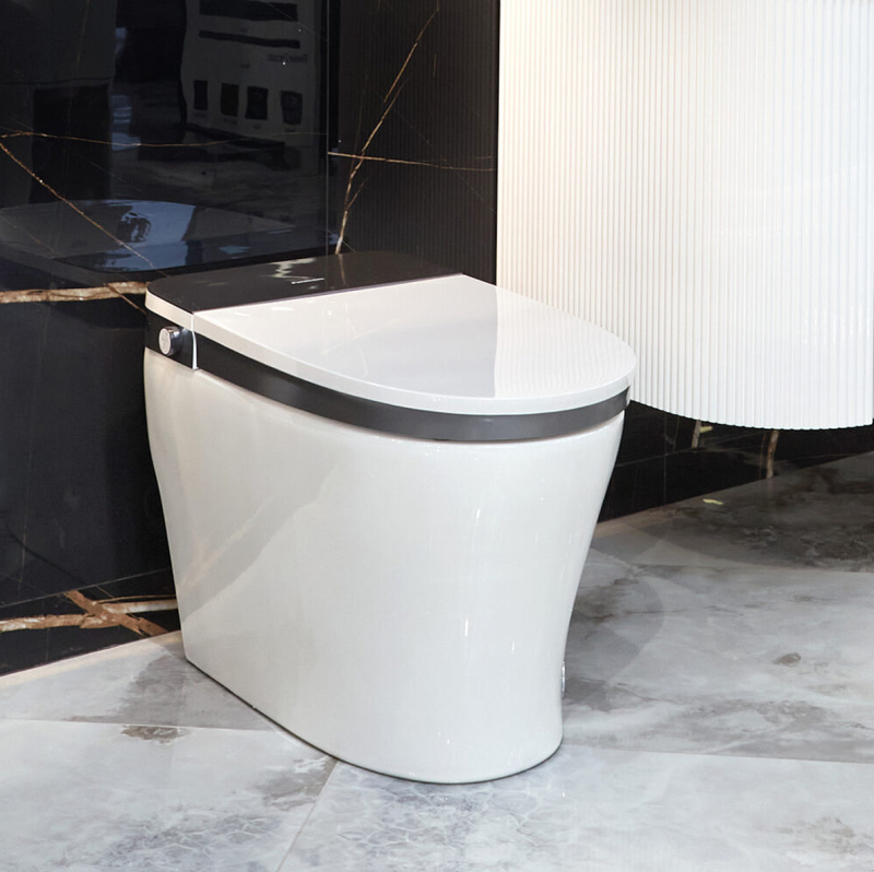 Интеллектуальный унитаз-биде panasonic ch 2711 c пультом