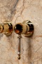 Смеситель для раковины Boheme Imperiale 327