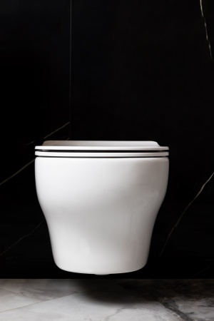 Унитаз подвесной Boheme Fiore 978-SET-W