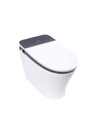 Унитаз электронный с функцией биде Panasonic 2711